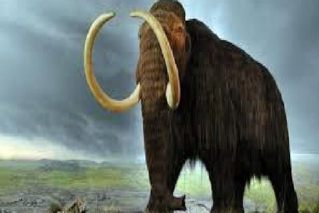 La Casa del Pueblo de El Llano del Beal se adentra en la Edad del Hielo a través del cine - 1, Foto 1