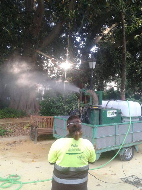 Revisan e hidratan los ficus de Floridablanca por las altas temperaturas - 2, Foto 2