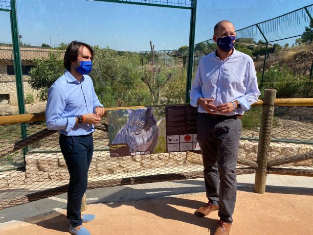 Murcia se posiciona como la cuarta ciudad del mundo que alberga una de las pocas familias de linces ibéricos nacidos en cautividad - 1, Foto 1