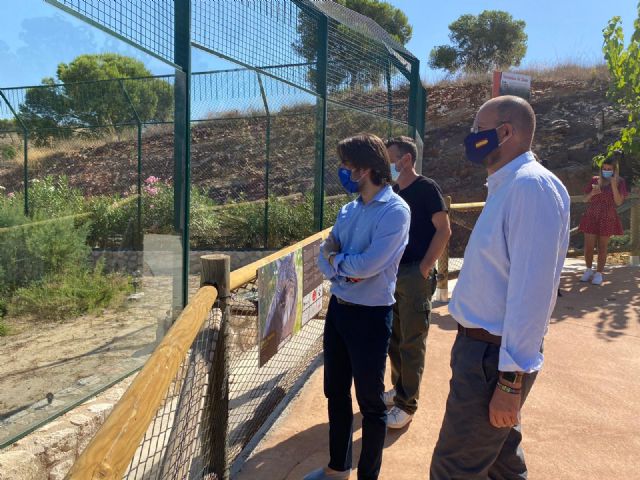 Murcia se posiciona como la cuarta ciudad del mundo que alberga una de las pocas familias de linces ibéricos nacidos en cautividad - 2, Foto 2