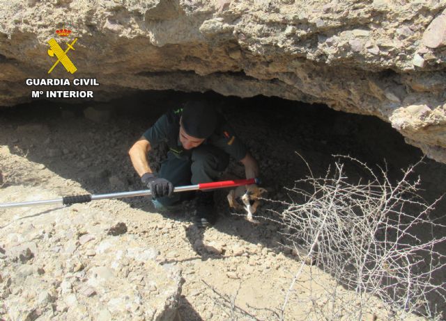 La Guardia Civil rescata a varios cachorros en una zona abrupta de Santomera - 3, Foto 3