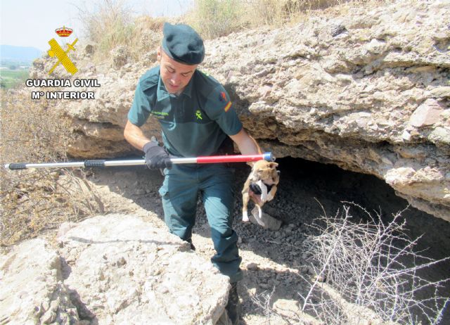 La Guardia Civil rescata a varios cachorros en una zona abrupta de Santomera - 4, Foto 4
