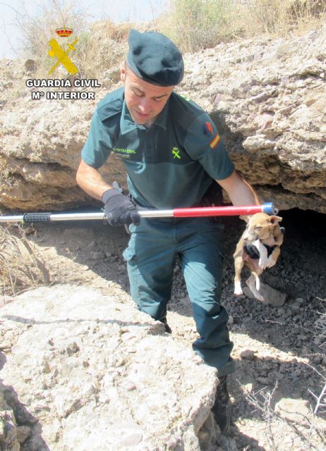 La Guardia Civil rescata a varios cachorros en una zona abrupta de Santomera - 5, Foto 5