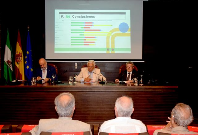 Sevilla . El Observatorio de Infraestructuras de Sevilla alerta sobre el retraso generalizado en los grandes proyectos de la provincia - 2, Foto 2