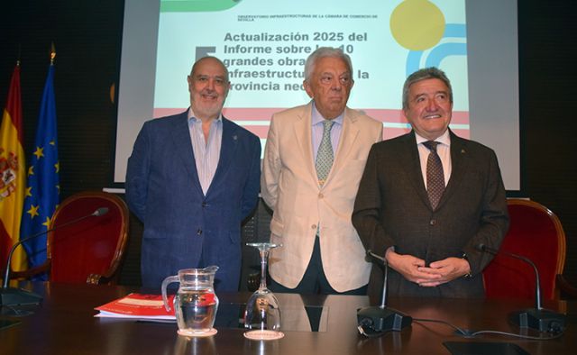 Sevilla . El Observatorio de Infraestructuras de Sevilla alerta sobre el retraso generalizado en los grandes proyectos de la provincia - 3, Foto 3