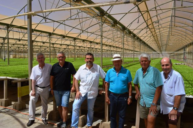 MC demandará al Pleno municipal apoyo a la agricultura del Campo de Cartagena - 1, Foto 1