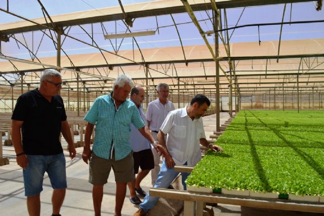 MC demandará al Pleno municipal apoyo a la agricultura del Campo de Cartagena - 3, Foto 3