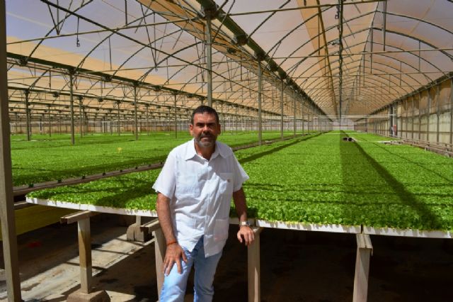 MC demandará al Pleno municipal apoyo a la agricultura del Campo de Cartagena - 4, Foto 4