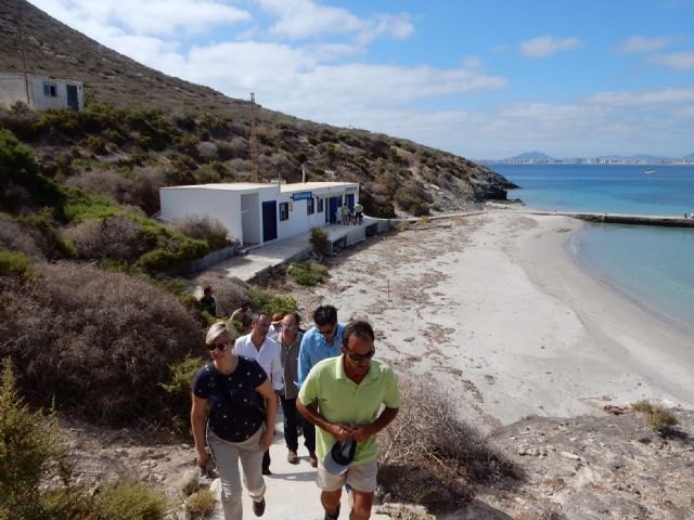 Isla Grosa se convierte en el principal ´dormidero´ de cormorán moñudo en el Mediterráneo - 1, Foto 1