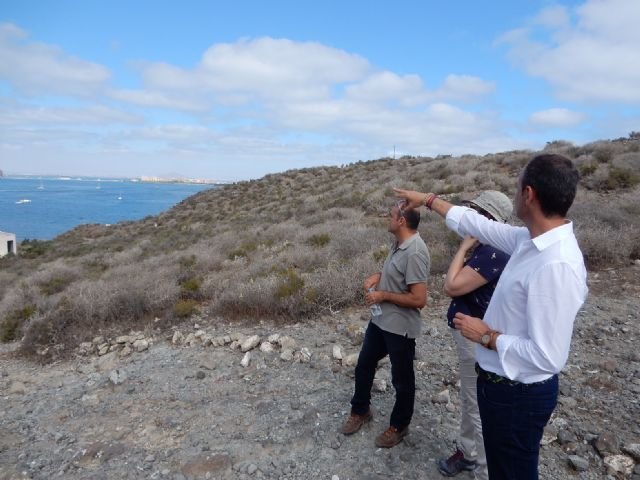 Isla Grosa se convierte en el principal ´dormidero´ de cormorán moñudo en el Mediterráneo - 3, Foto 3