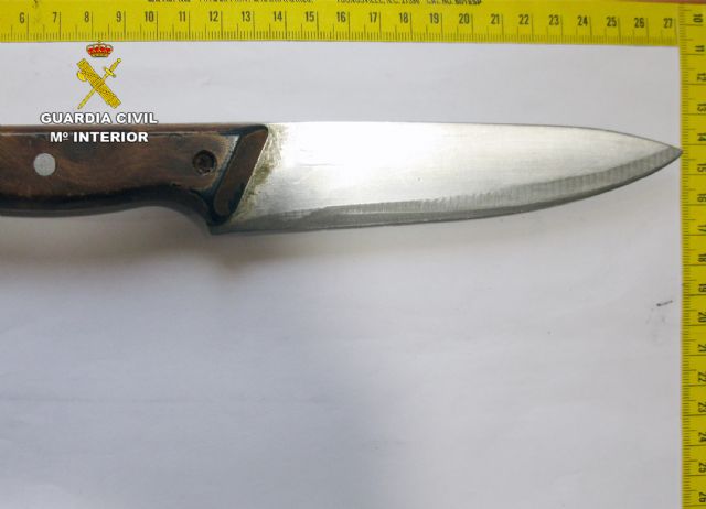 Detenido el presunto autor de un homicidio en tentativa en Santomera - 3, Foto 3