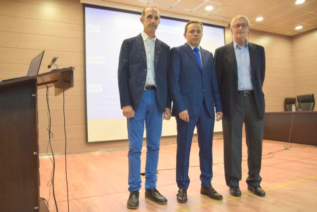 Mejoran la producción de pimiento utilizando enmiendas orgánicas contra los patógenos - 1, Foto 1