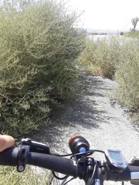 El PSOE exige al Ayuntamiento la limpieza de los carriles bici del municipio y la implantación de un Plan de mantenimiento continuado - 3, Foto 3