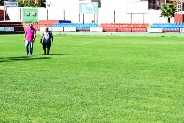 Deportes mejora el estado del csped del estadio municipal Pedro Mndez, Foto 1