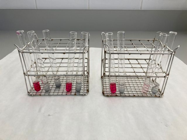 Investigadores de la UPCT eliminan en más de un 75% nitratos del agua en pruebas piloto del proyecto europeo LIFE-DESIROWS - 1, Foto 1