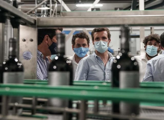 Casado exige “por enésima vez” al Gobierno una ley de pandemias como están demandando los jueces: “No entendemos por qué Sánchez sigue en el no es no” - 2, Foto 2