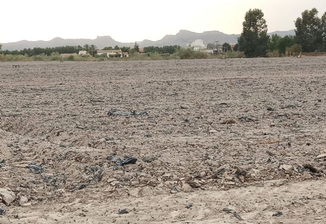 IU-Verdes Lorca exige la redacción de la ordenanza del plástico agrícola, que lleva 19 meses de retraso - 1, Foto 1