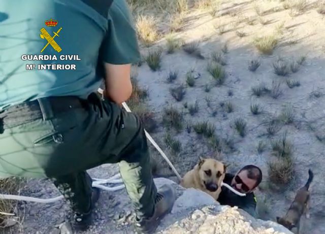 La Guardia Civil rescata a dos perros atrapados en una balsa de riego abandonada - 3, Foto 3