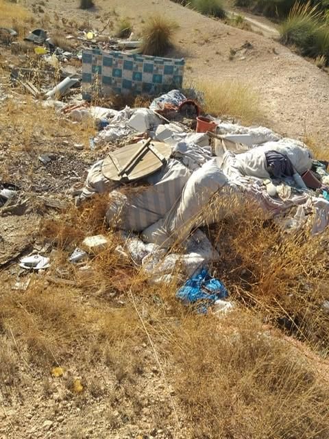 La concejalía de Medio Ambiente procede a la limpieza y recogida de 848 toneladas de residuos incontrolados en diferentes puntos de la pedanía lorquina de Avilés - 3, Foto 3