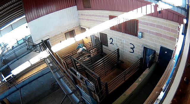 España primer país de la UE en aprobar cámaras en mataderos - 1, Foto 1