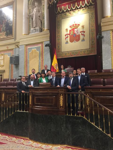 Empresarios, directivos y profesionales de Murcia Seniors Club visitan el Congreso invitados por los diputados nacionales del PSOE de la Región - 1, Foto 1