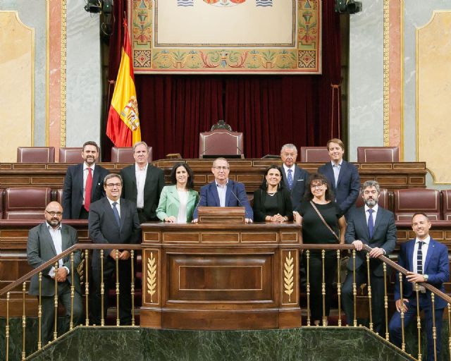 Empresarios, directivos y profesionales de Murcia Seniors Club visitan el Congreso invitados por los diputados nacionales del PSOE de la Región - 2, Foto 2