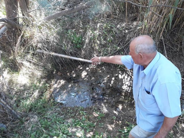 IU-Verdes denuncia la lentitud en la recuperación del embalse de la pedanía lorquina de Doña Inés - 3, Foto 3