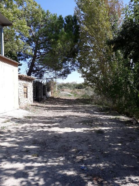 IU-Verdes denuncia la lentitud en la recuperación del embalse de la pedanía lorquina de Doña Inés - 4, Foto 4