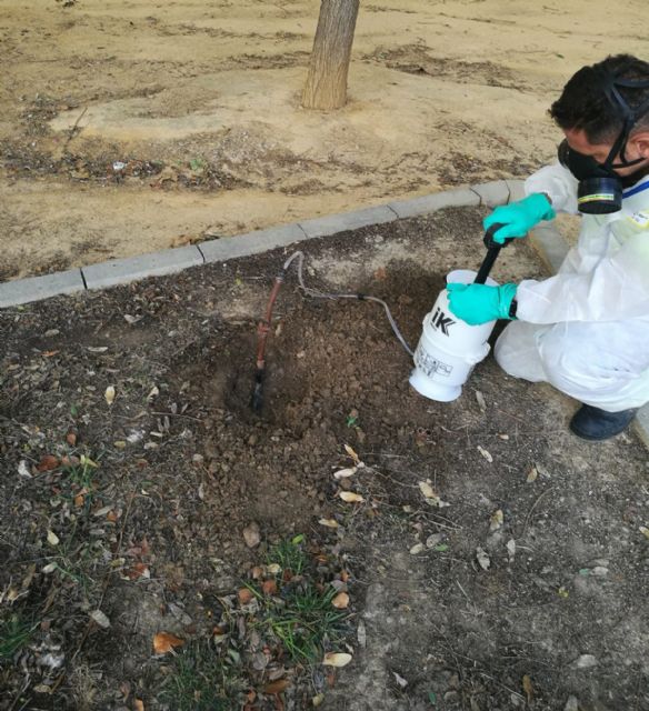 El Ayuntamiento promueve un uso más efectivo del agua mejorando el riego de más de 25.000 m² de jardines - 1, Foto 1