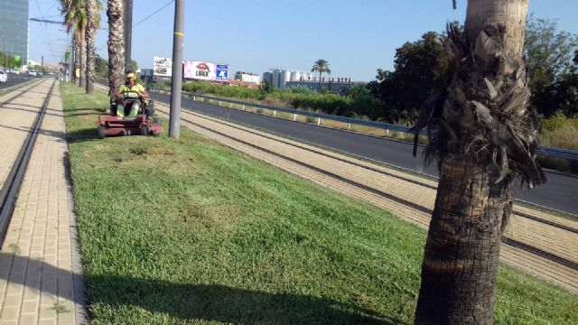 El Ayuntamiento promueve un uso más efectivo del agua mejorando el riego de más de 25.000 m² de jardines - 2, Foto 2