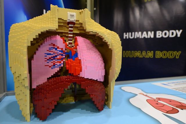 La exposición de modelos construidos con piezas LEGO más grande de Europa permanecerá en Murcia hasta eeel 26 de octubre - 3, Foto 3