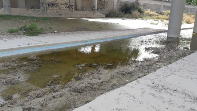 10 días después de las lluvias el tramo urbano del río sigue sin limpiar y los arrastres se acumulan bajo el puente de San Diego; el PP exige que se solucione ya - 1, Foto 1