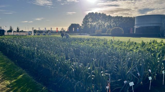 Tozer presenta más de 100 variedades de semillas hortícolas en los Dutch Field Trials - 1, Foto 1