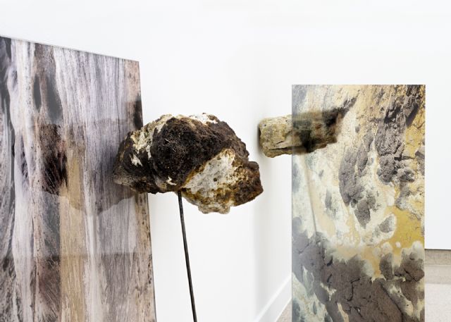 El fotógrafo y artista visual Antonio Guerra gana la IV Edición del Premio Internacional Ankaria Photo con un proyecto que funde fotografía, escultura e instalación - 2, Foto 2