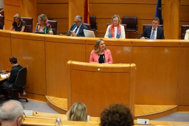 El Gobierno de la Región de Murcia da apoyo jurídico a las víctimas de violencia de género en riesgo por posibles fallos de las pulseras antimaltrato - 1, Foto 1