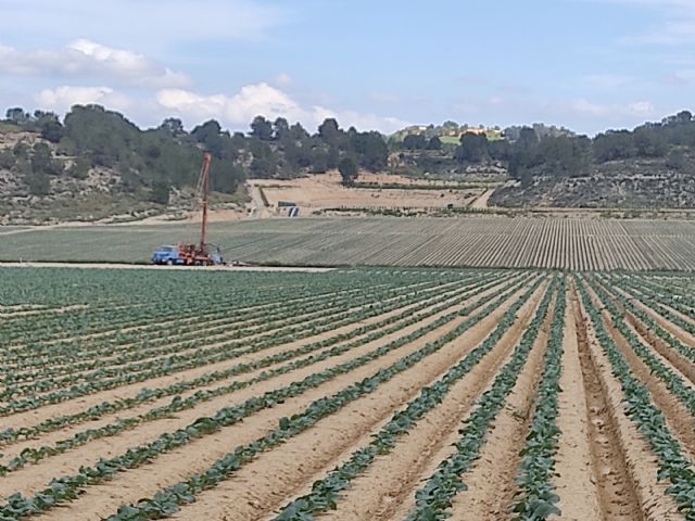 La enfermedad de la lengua azul del ovino continúa haciendo estragos en el noroeste de la Región de Murcia - 5, Foto 5