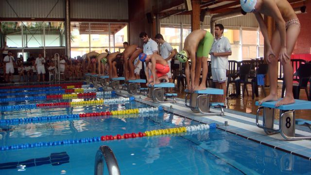 Alcantarilla acoge el XIX Trofeo Comité de Árbitros de la Federación de Natación de la Región de Murcia - 4, Foto 4