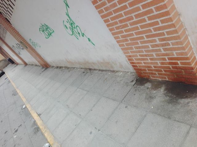 El PSOE pide la limpieza del entorno del colegio Sagrado Corazón y calles de San Diego y San Cristóbal - 2, Foto 2