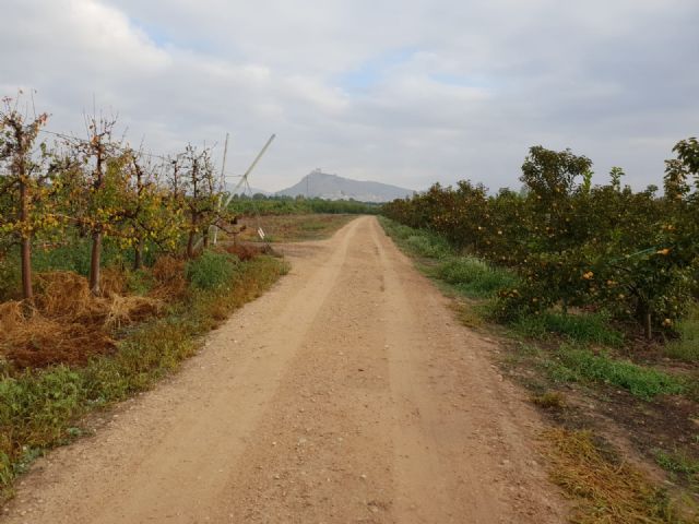 Agricultura solicita ayudas para el arreglo de otros cuatro caminos rurales - 2, Foto 2
