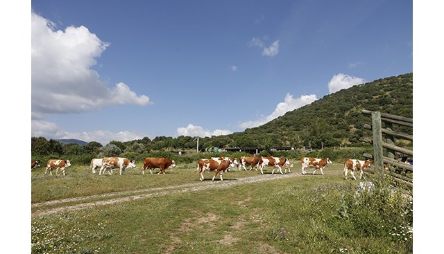 24 de octubre. Día Internacional contra el Cambio Climático - 1, Foto 1