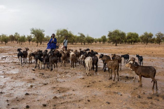 Inteligencia artificial para luchar contra el cambio climático en Sahel - 1, Foto 1