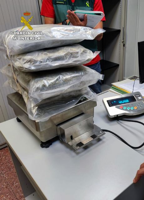 La Guardia Civil desmantela una organizacin criminal dedicada a exportar marihuana oculta entre hortalizas, Foto 1