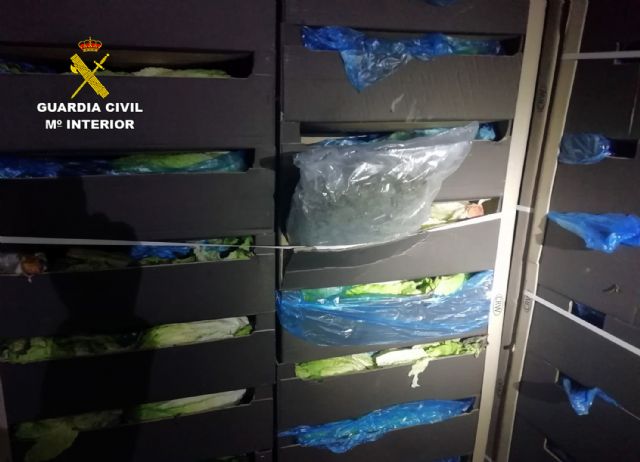 La Guardia Civil desmantela una organizacin criminal dedicada a exportar marihuana oculta entre hortalizas, Foto 2
