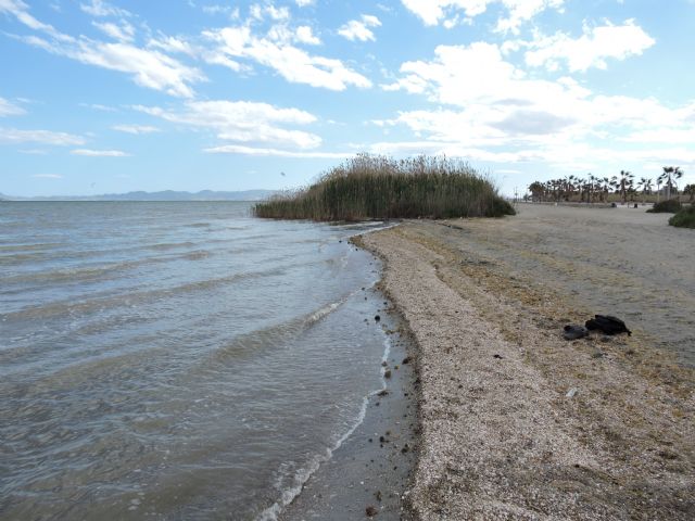 Más de 200 investigadores de todo el mundo se citan en Murcia en la 14º Conferencia Internacional de la ISSRL sobre Lagos Salados y Salinas - 2, Foto 2