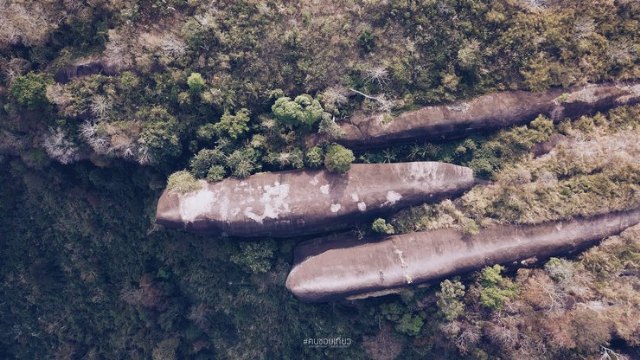 Three Whale Rock: las ballenas de piedra que nadan en una tupida selva - 2, Foto 2