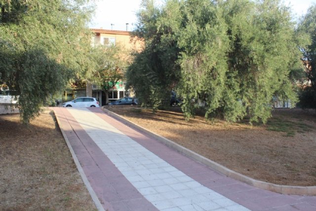 Autorizan la solicitud de un vecino que solicita la recogida de las aceitunas y poda de las oliveras propiedad del Ayuntamiento de Totana
