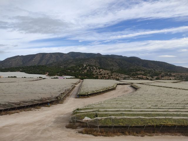 III Ruta en Defensa del Agua y del Patrimonio Natural del Noroeste - 4, Foto 4