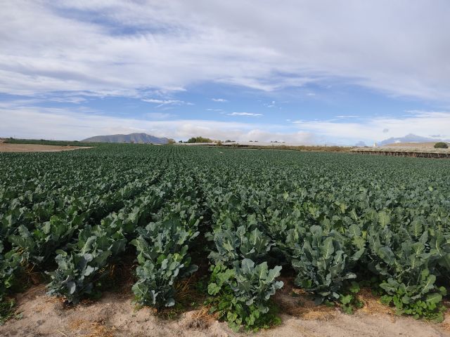 III Ruta en Defensa del Agua y del Patrimonio Natural del Noroeste - 5, Foto 5