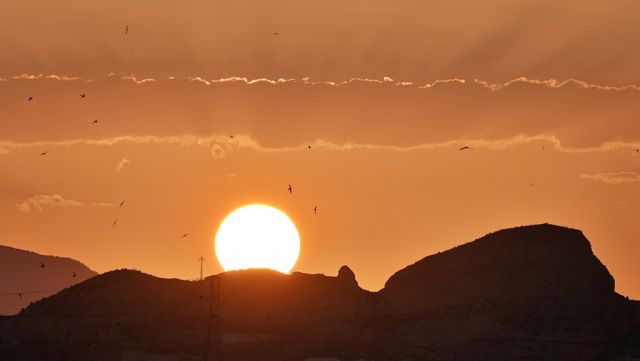 El impresionante patrimonio geológico y paleontológico de la serrata vuelve al pleno municipal - 1, Foto 1