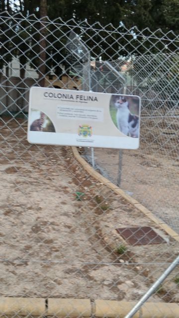 Gracias, alcalde, por acordarse de los que no hablan - 2, Foto 2